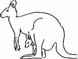 Free Printable Kangaroo Coloring Pages For Kids  Animal Place sketch template