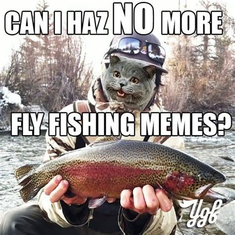 8+ Fly Fishing Meme - VivianSaniyah