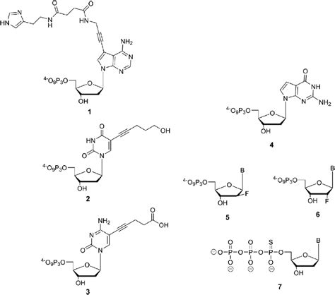 26.1 Chemical structures of the modified nucleoside triphosphates:... | Download Scientific Diagram