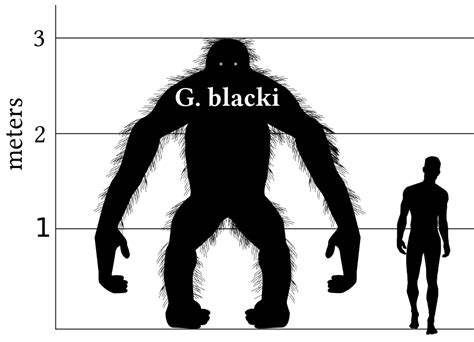 Ancient Proteins Tell Story Of Gigantopithecus, Largest-Ever Primate ...