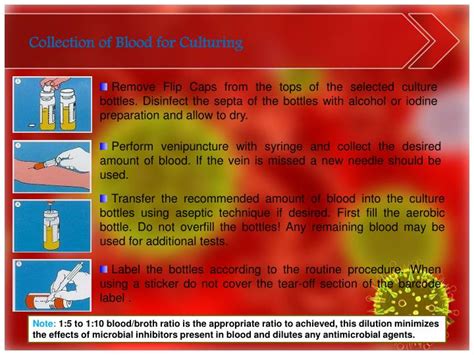 PPT - Blood culture PowerPoint Presentation - ID:390659