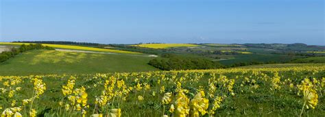 Red Hill Nature Reserve - Visit Lincolnshire