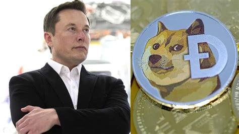 Dogecoin Pumps After Elon Musk Tweet - NAIJA.FM