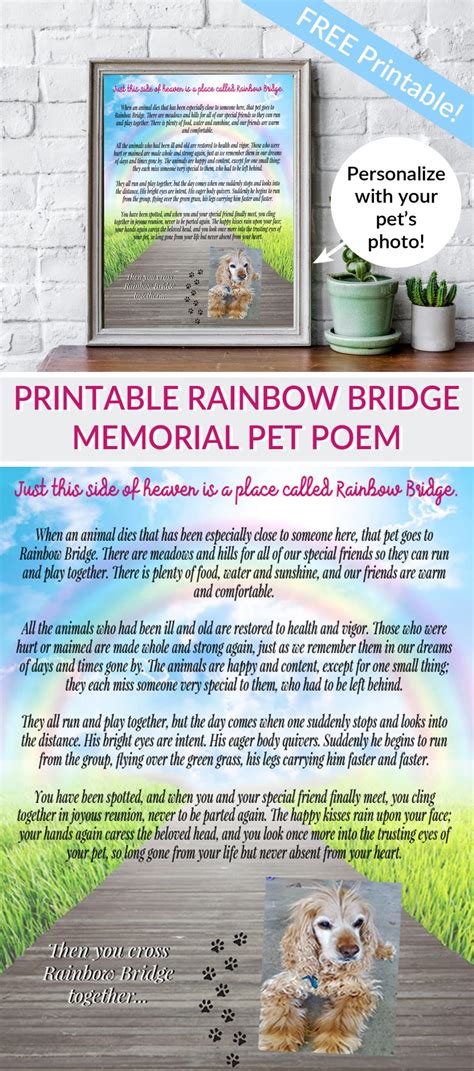 Free Printable Rainbow Bridge Poem For Cats : 1 _ Maybe you would like ...