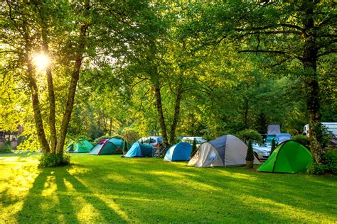 Top 5 tips for setting up the perfect campsite - Family Parks