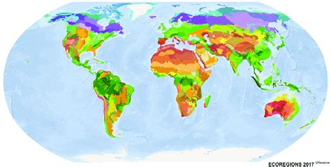 The 846 global ecoregions that comprise Ecoregions2017 ©Resolve nested ...