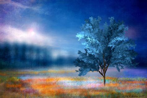 Tree Dream by JacqChristiaan on DeviantArt