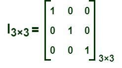 Identity Matrix (Unit Matrix) - Definition, Properties & Examples