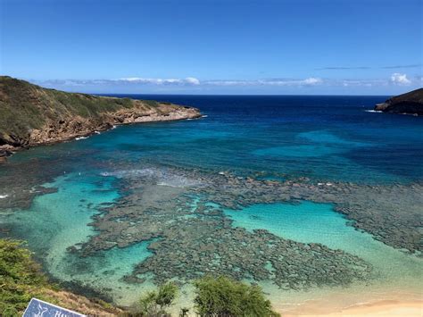 Ocean Defenders Alliance - Partnership & Scientific Studies with Friends of Hanauma Bay