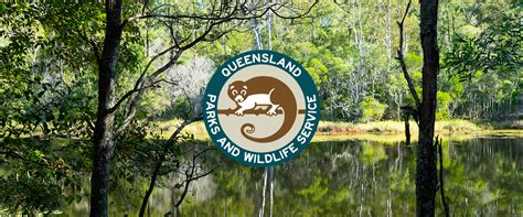 Design on display: Queensland Parks & Wildlife Services - Aruga