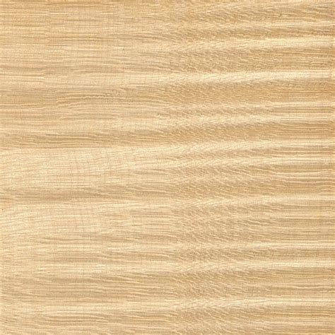 Sycamore Maple | The Wood Database - Lumber Identification (Hardwood)