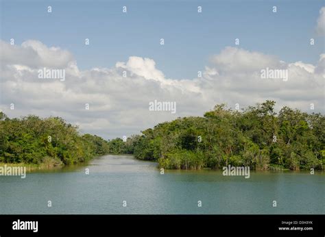 Guatemala, Rio Dulce National Park. Rio Dulce (Sweet River) runs from the Caribbean Sea inland ...