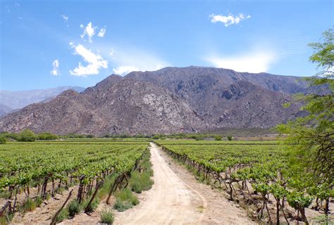 luxury Argentina wine tours (3) | Artisans of Leisure | Luxury travel ...