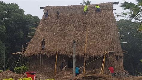 "BURE" or Traditional Fijian house Rethatching - YouTube