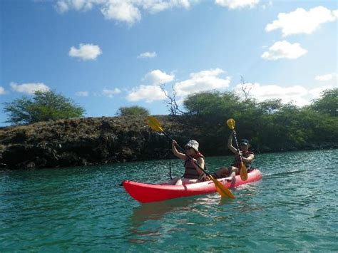 Amazing experience! - King Kayak Hawaii, Puako Traveller Reviews ...