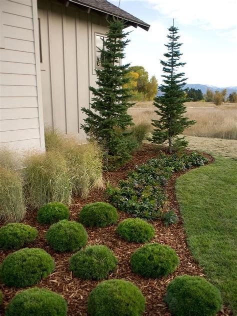 33 Wonderful Evergreen Landscape Ideas For Front Yard - MAGZHOUSE