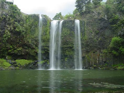 Whangarei Falls - Waterfall in a Suburban Park in Whangarei