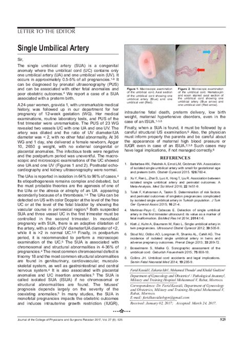 (PDF) Single Umbilical Artery | Zakaria Idri - Academia.edu