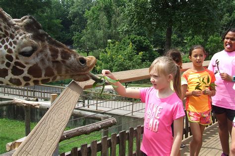 Week-Long Day Camp | The Maryland Zoo