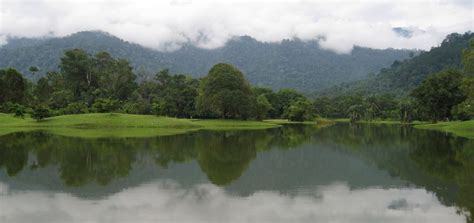 Taiping Lake Gardens, Malaysia