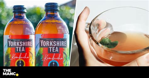 Yorkshire Tea is launching its own kombucha in two flavours - but you can't buy it yet