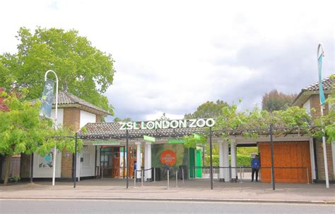 London Zoo Tickets 2024 - Koop online & sla de rij over