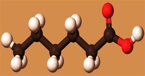 Caproic Acid (Properties, Occurrence, Uses) - Assignment Point