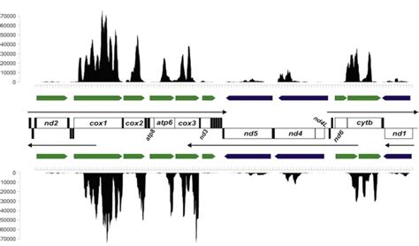 For model species, the 3′ RNA-seq method might more accurately detect ...