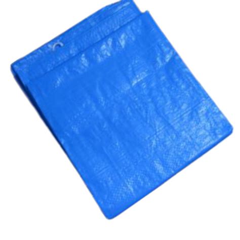 Waterproof Blue Economy Tarpaulins 80gsm - 10m x 10m - Tarpaulins Cover