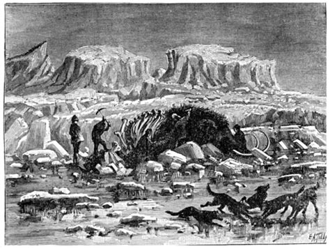 Mammoth Discovery In Siberian Ice Reveals Intact Meat, Ice, Paleontology, Siberia PNG ...