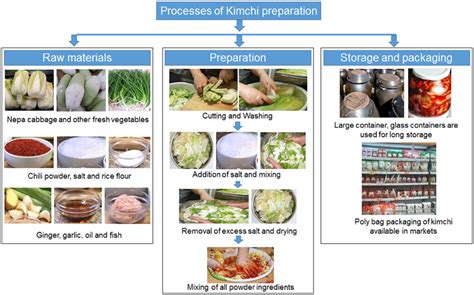 Kimchi: its probiotic benefits and the recipe | My Gut Matters