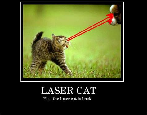 LASER CAT 2