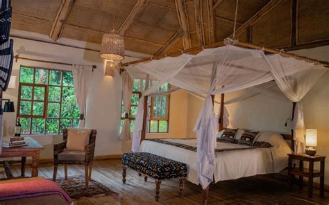 Bwindi Lodge - Safari Tour Accommodation in Uganda