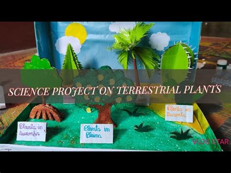 Diorama Terrestrial Plants | edu.svet.gob.gt