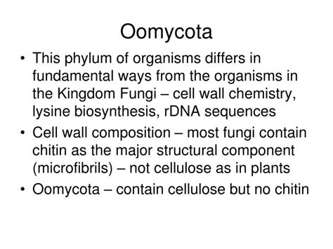 PPT - Oomycota PowerPoint Presentation - ID:5534148