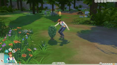 The Sims 4: Herbalism Skill Guide