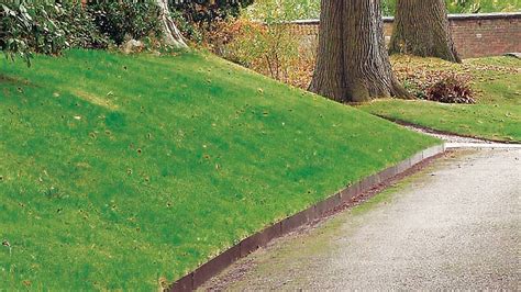 Everedge Lawn Edging | Grandin Road | Lawn edging, Lawn and garden, Front landscaping