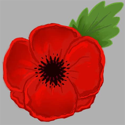 Sketch Poppy Flower Drawing Easy - Subarubaruk