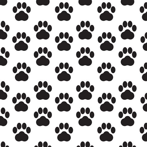 cat footprints icon vector 24150229 Vector Art at Vecteezy