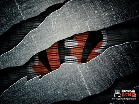 Cincinnati Bengals Wallpaper - WallpaperSafari