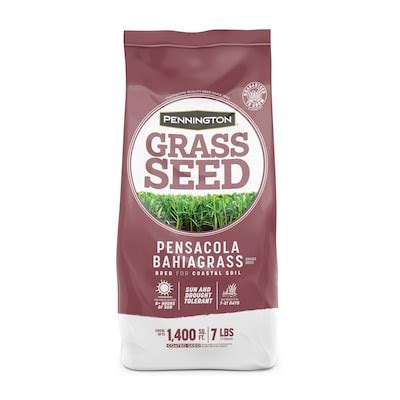 Bahia Grass Seed at Lowes.com