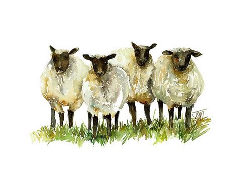 1000+ images about Lamb & Sheep Art on Pinterest | Watercolors, Wool and Counting sheep