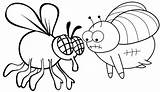 Cute Flies Cartoon Coloring Page  Pages sketch template