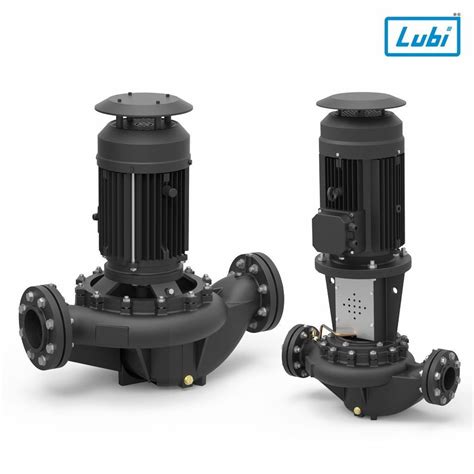 Lubi Vertical Inline Pump, Max Flow Rate: Upto 10LPH at best price in ...