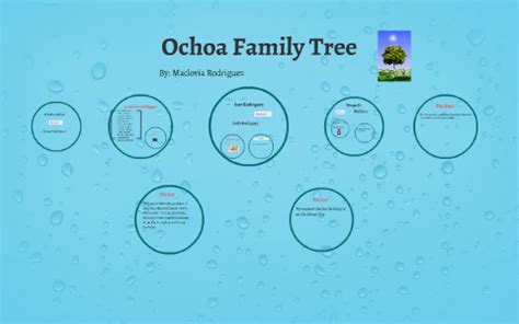 Ochoa Family Tree by Maclovia Rodriguez