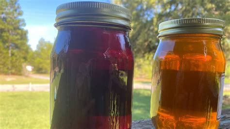 What’s the deal with NC’s purple honey + where to find it | Raleigh News & Observer