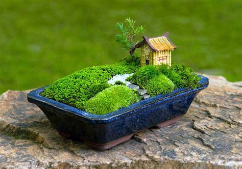 Brilliant zen garden landscape design only on this page | Miniature garden, Garden terrarium ...