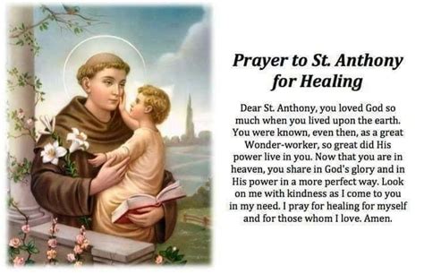 Pin by Carm Merola on NOVENAS AND SPECIAL PRAYERS | Saint anthony, St ...