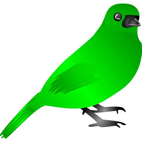 Green bird vector drawing | Free SVG