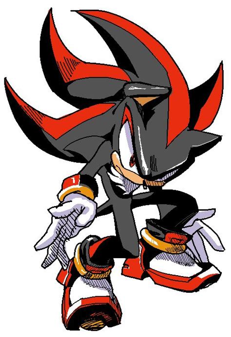 Shadow The Hedgehog Fan Art: Shadoodle | Shadow the hedgehog, Sonic and shadow, Hedgehog